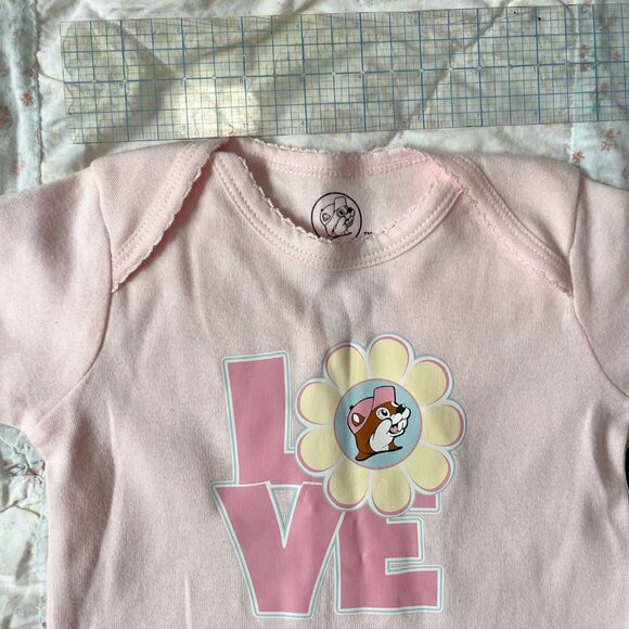 Pink Dress and bodysuit for‎ baby from Buccees, 3-6 mo - Picture 2 of 4